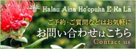 Halau Aina Ho'opuka E Ka Laご予約・ご質問などはお気軽に　お問い合わせはこちら